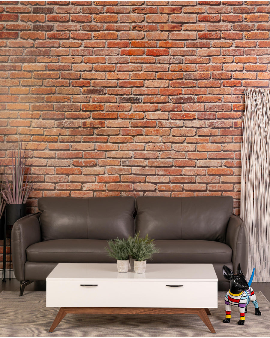 Modern Leather Sofa In Dark Grey With Dark Chrome Leg | Siena | Studio | MoblerOnline